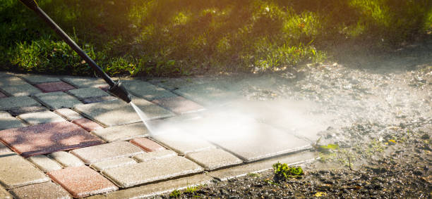 Best Fence Cleaning  in Laurens, IA